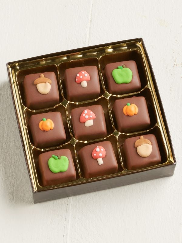 9pc Fall Chocolate Caramels Gift Box
