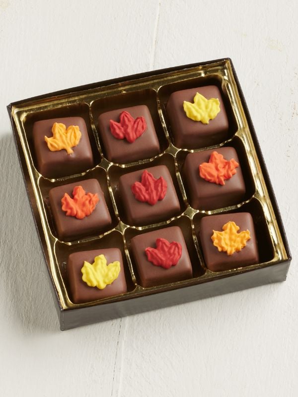 9pc box of fall leaf chocolate caramels