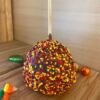 Sprinkle Chocolate Caramel Apple
