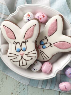 Marshmallow Rabbit